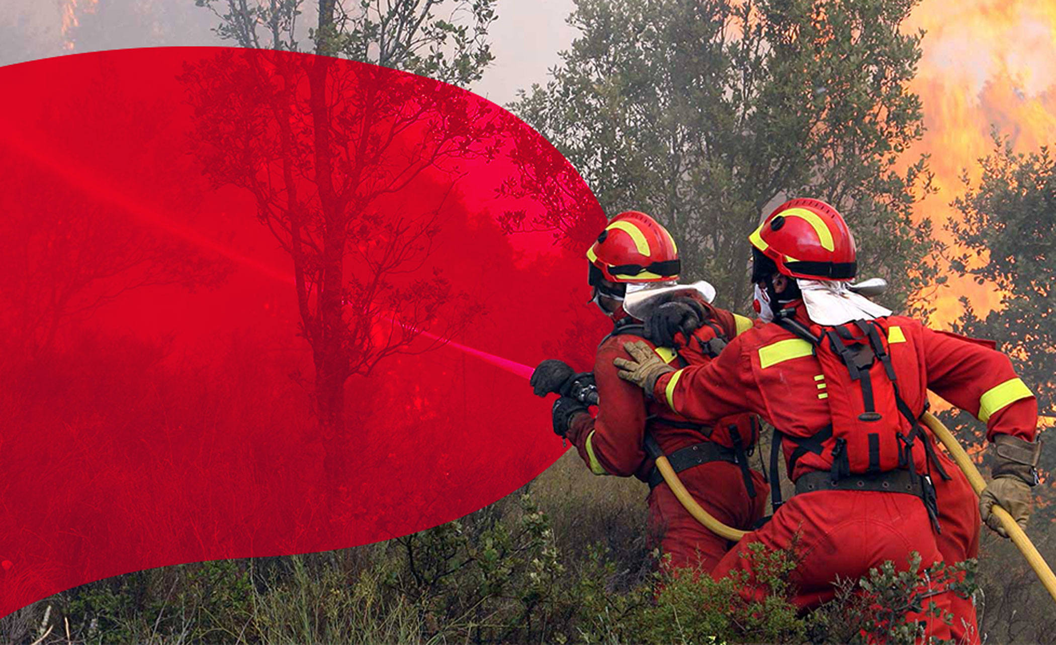 zwei Feuerwehrmänner stehen in einem Wald und löschen Glutnester, von der linken Seite ragt eine rote Fläche in das Bild